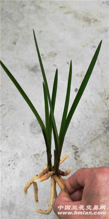 2 - 