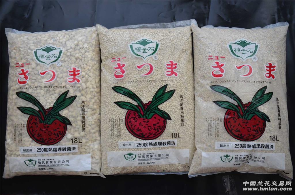 日本原装进口柏帆植金石