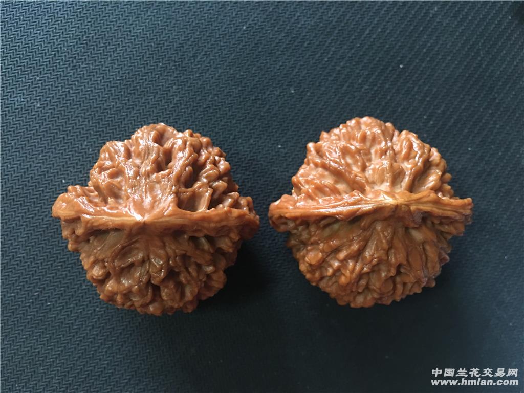 边50老树矮桩麒麟纹大官帽精配-中秋礼品级