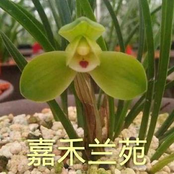 西神