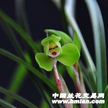 西神