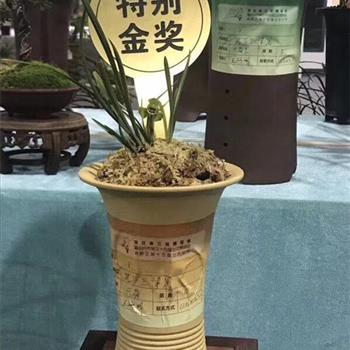 兴荷