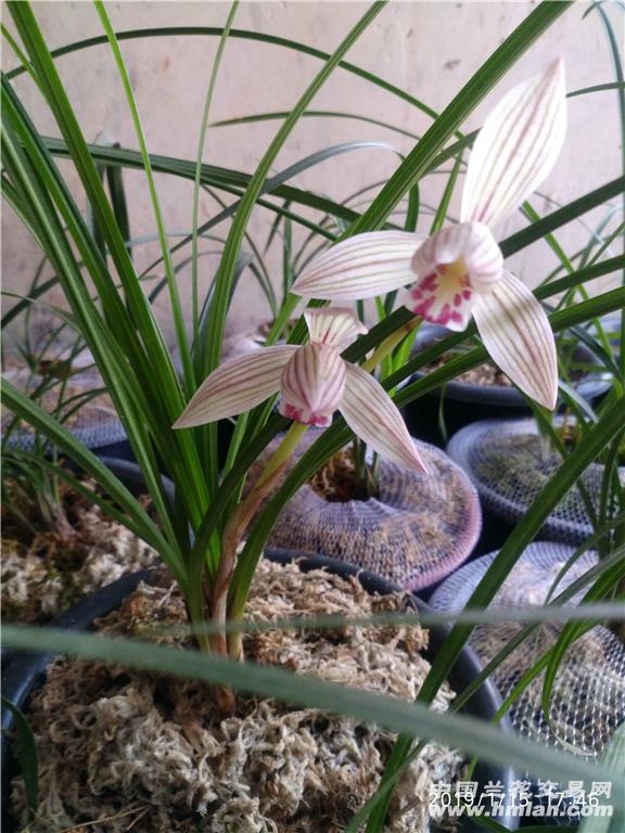 卖家申请自我介绍