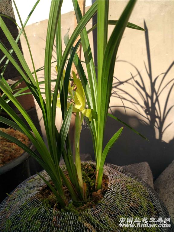 卖家申请自我介绍