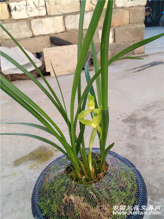 卖家申请自我介绍