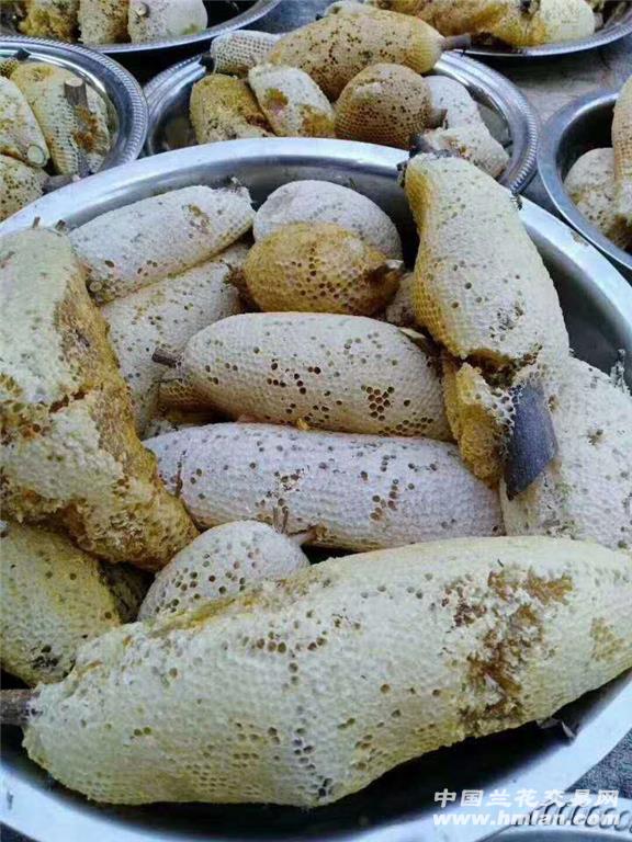 缅甸小草挂蜂蜜 原巢发货