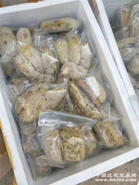 缅甸小草挂蜂蜜 原巢发货