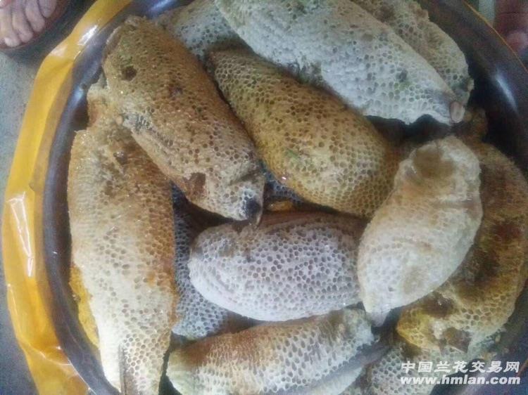 缅甸小草挂蜂蜜 原巢发货